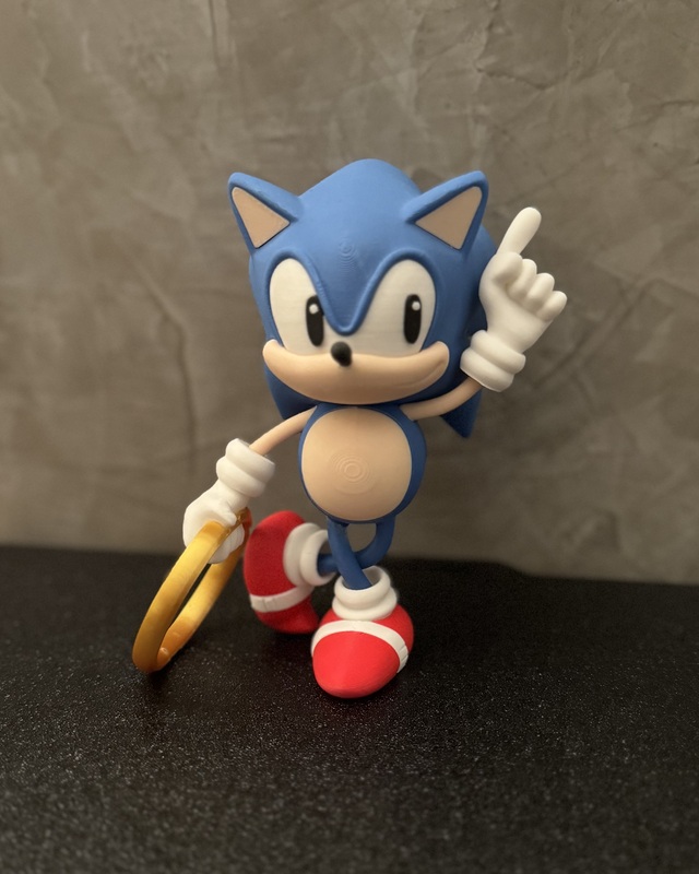 sonic 3d printed model